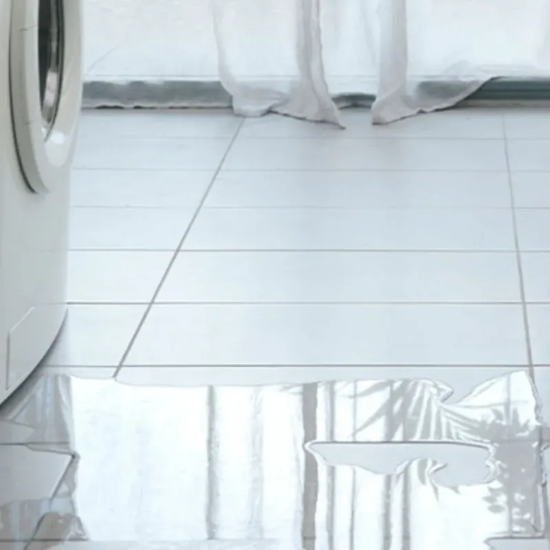 Appliance Leak Cleanup in Cuba, IL