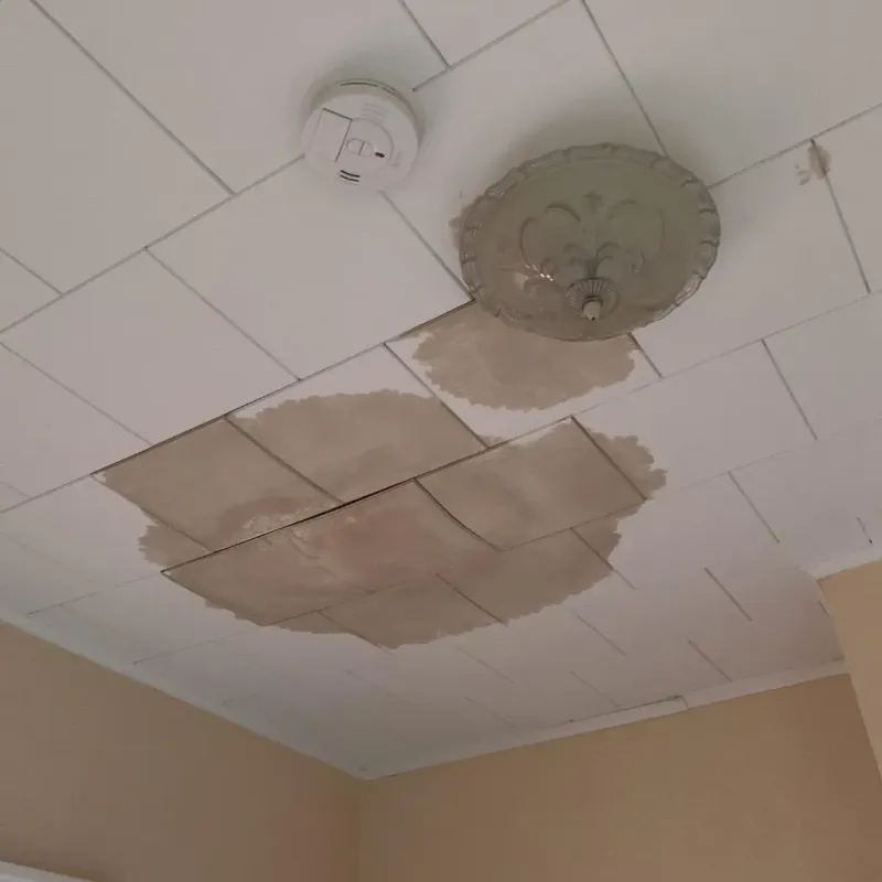 Ceiling Water Damage Repair in Cuba, IL