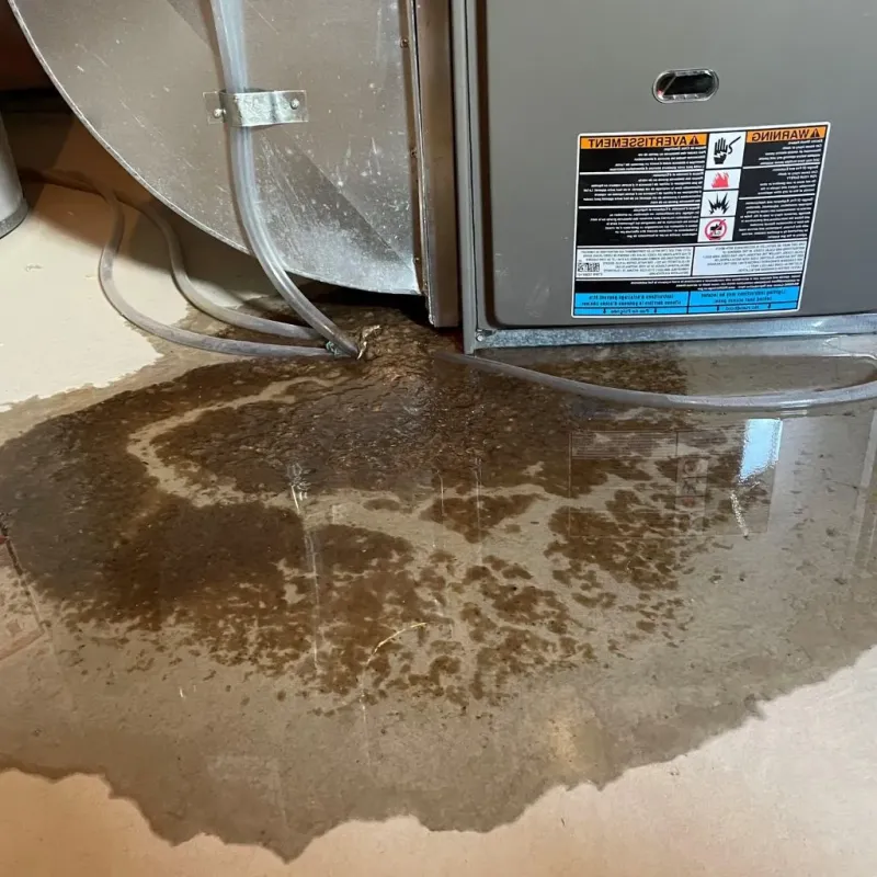 Pipe Burst and Leak Restoration in Cuba, IL