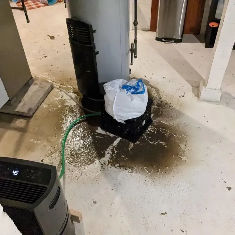 Sewage Backup Cleanup Service in Cuba, IL